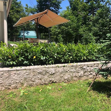 Mountain House Ivanova Korita Cetinje Exteriér fotografie